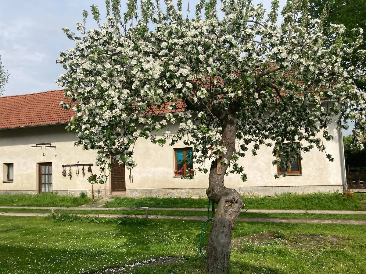 Prijemny Apartman Se Zahradou Ostresany 0*,  Czech Republic